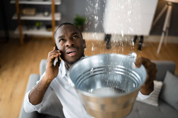 Best Water damage restoration near me  in Yale, MI