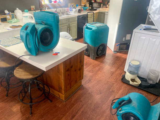 Best Water damage restoration services  in Yale, MI