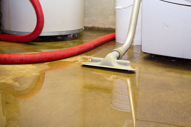 Water damage restoration insurance claims in MI