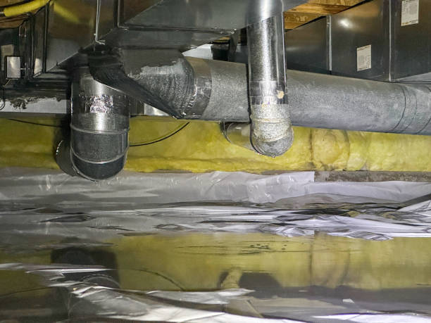 Best Water damage restoration near me  in Yale, MI